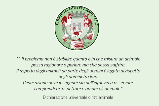 titolo immagine